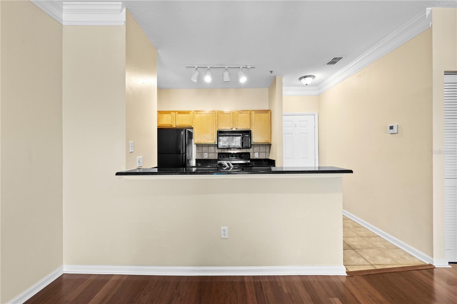 4207 S DALE MABRY HWY #3302, TAMPA, FL, 33611