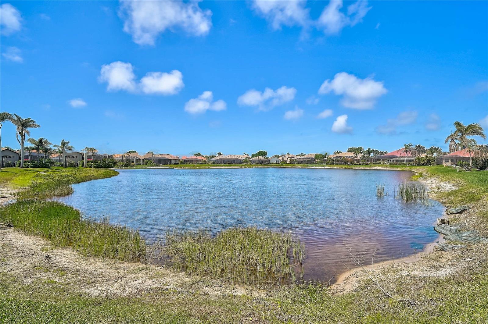 4321 VIA DEL SANTI DR, VENICE, FL, 34293
