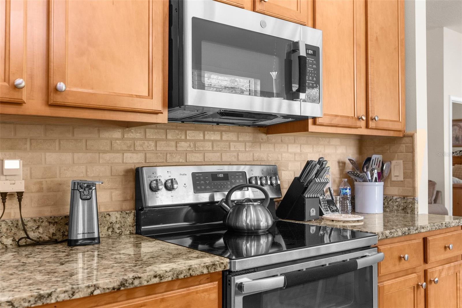 11225 GODWIT CT, NEW PORT RICHEY, FL, 34654