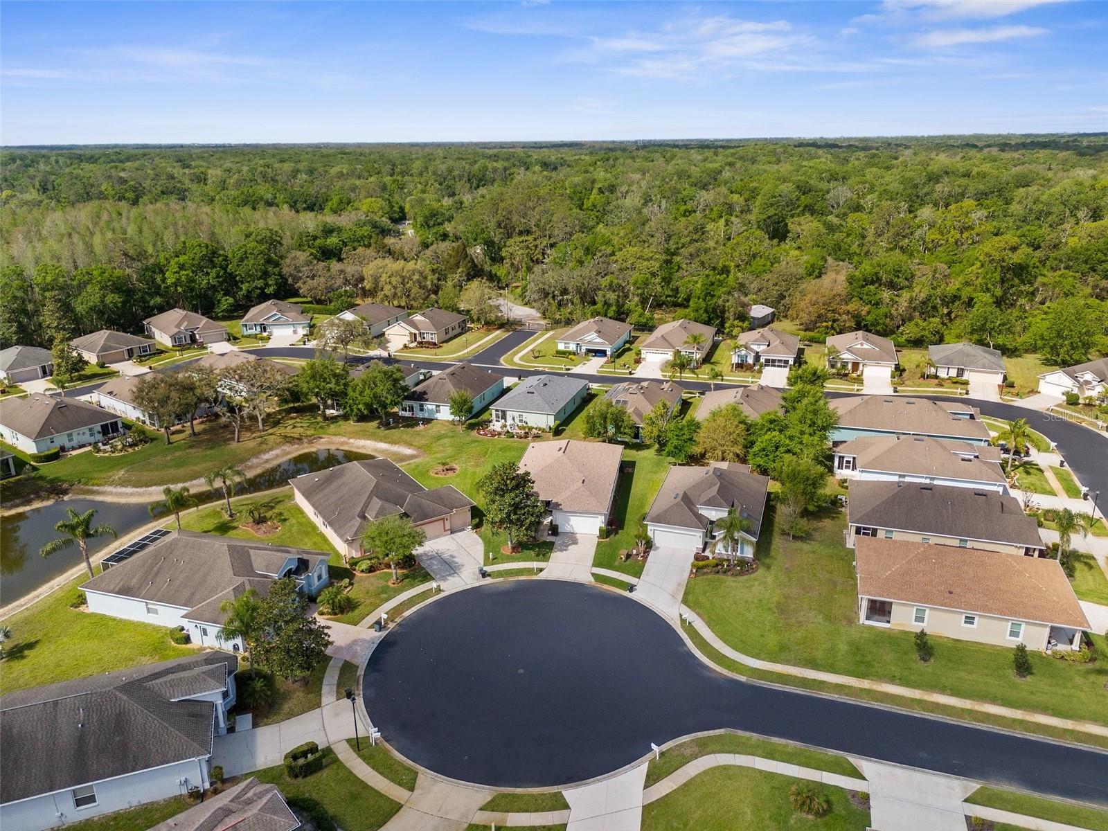 11225 GODWIT CT, NEW PORT RICHEY, FL, 34654