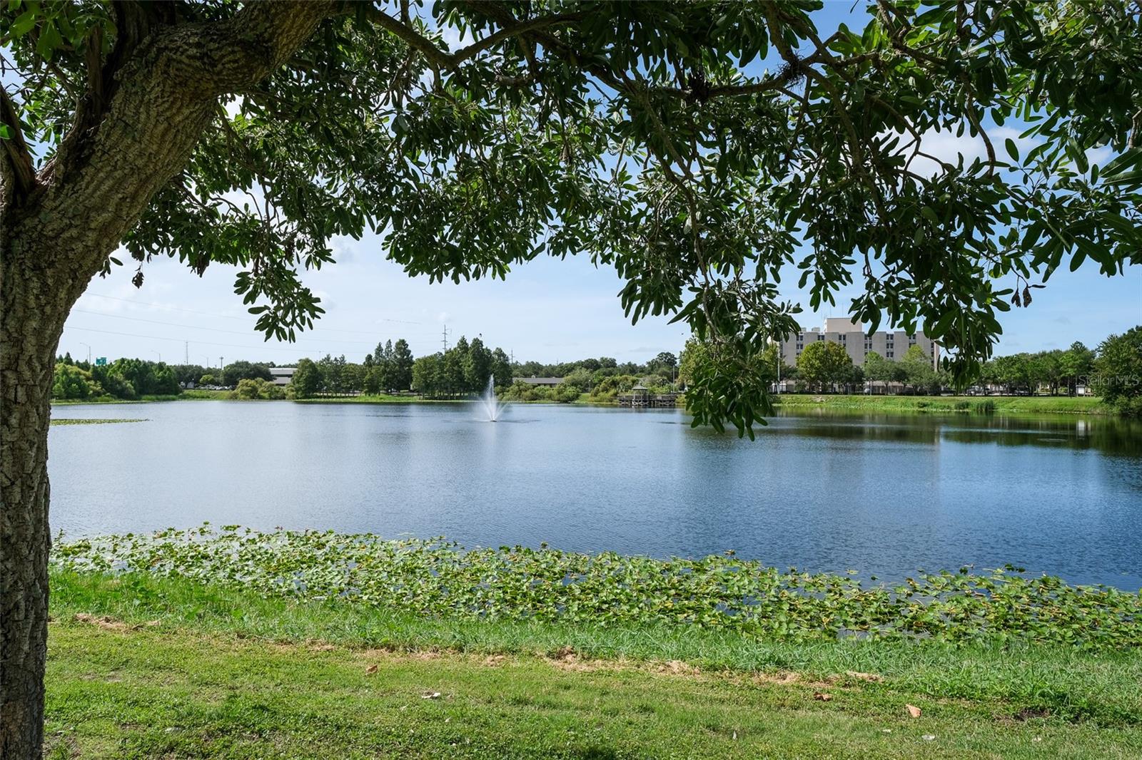 1331 24TH ST N, ST PETERSBURG, FL, 33713