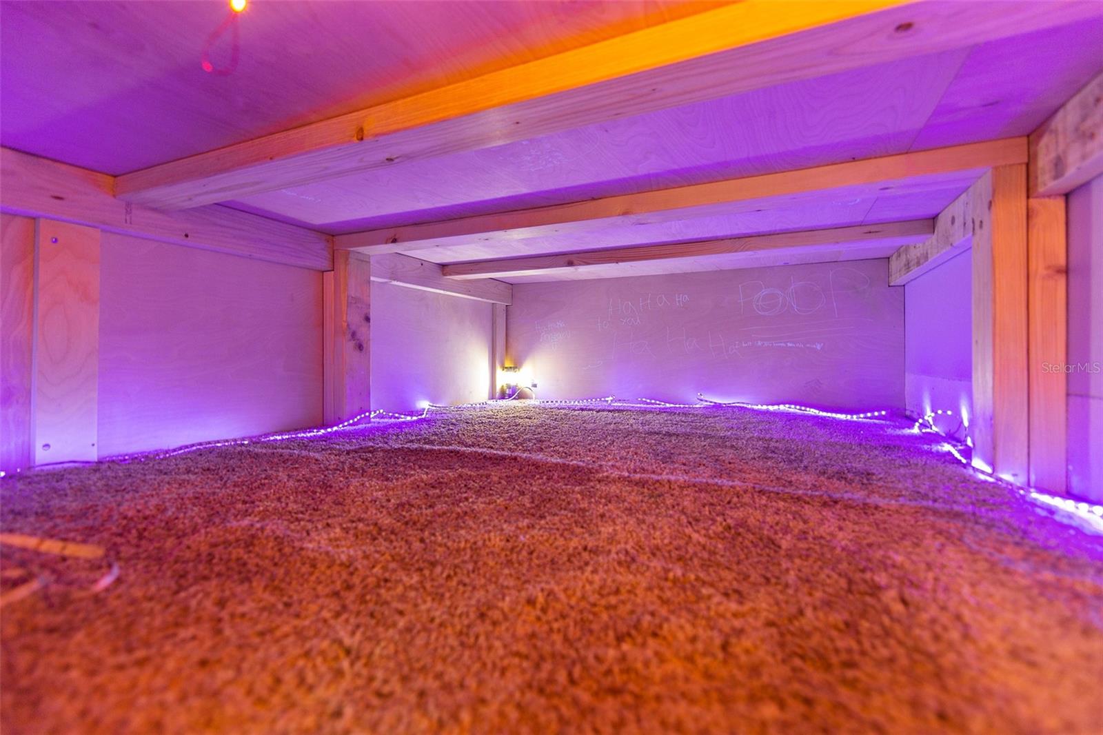 6236 ALLIGATOR LAKE SHR E, ST CLOUD, FL, 34771