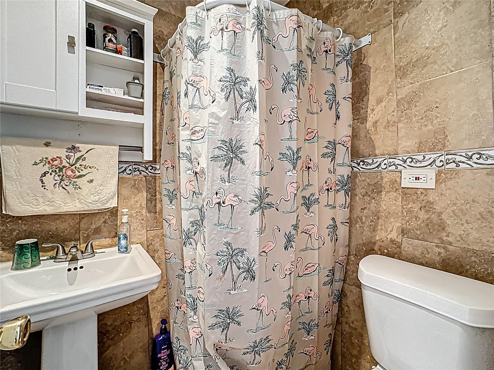 7807 PINE HAWK LN, ORLANDO, FL, 32822