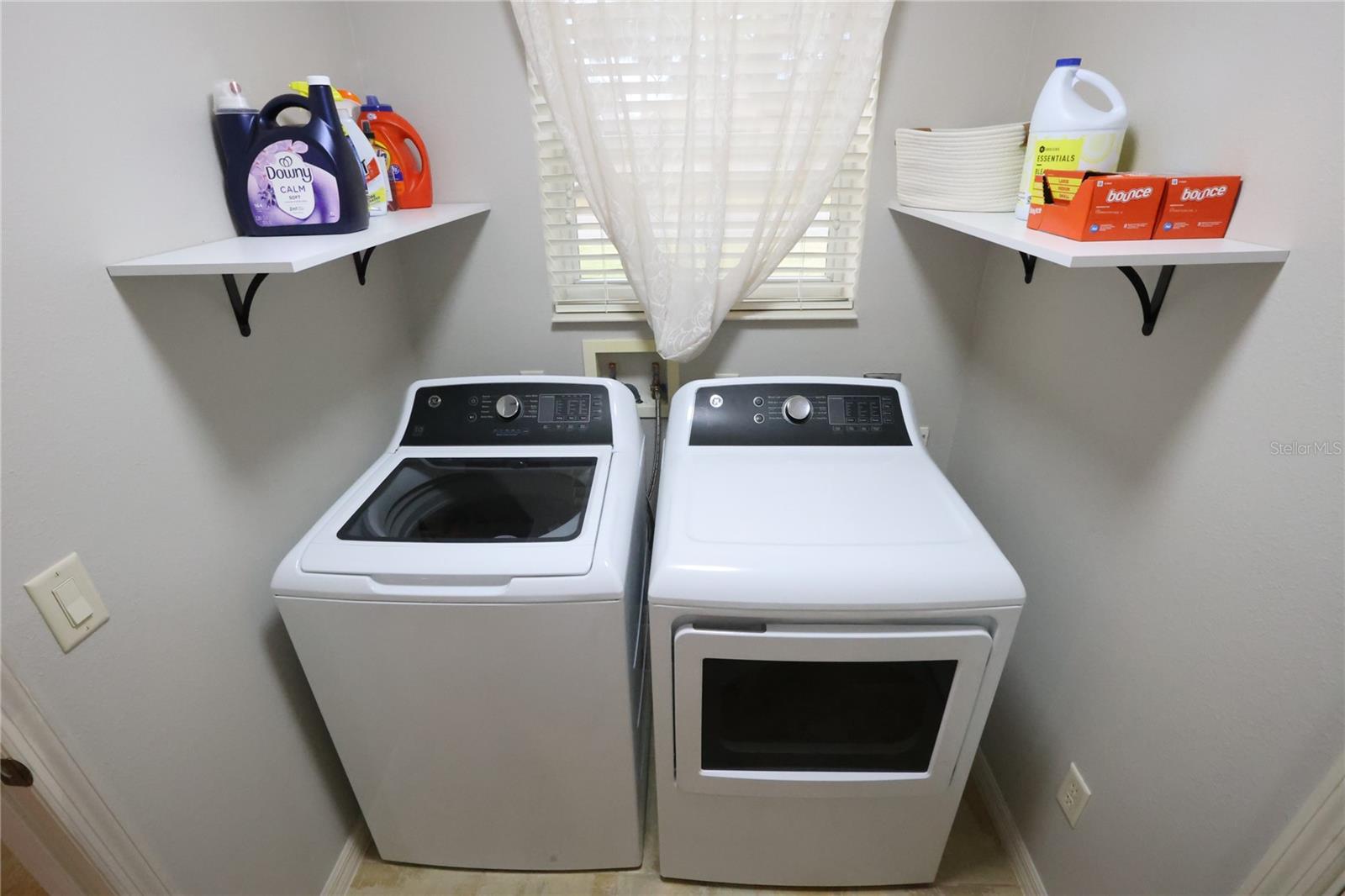 1669 PLUM BRANCH TER, THE VILLAGES, FL, 32162