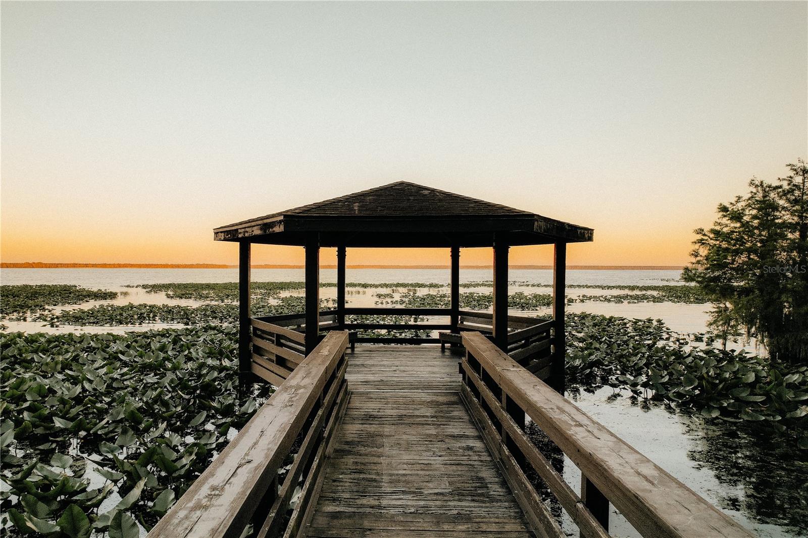 20425 SE 138TH PL, HAWTHORNE, FL, 32640