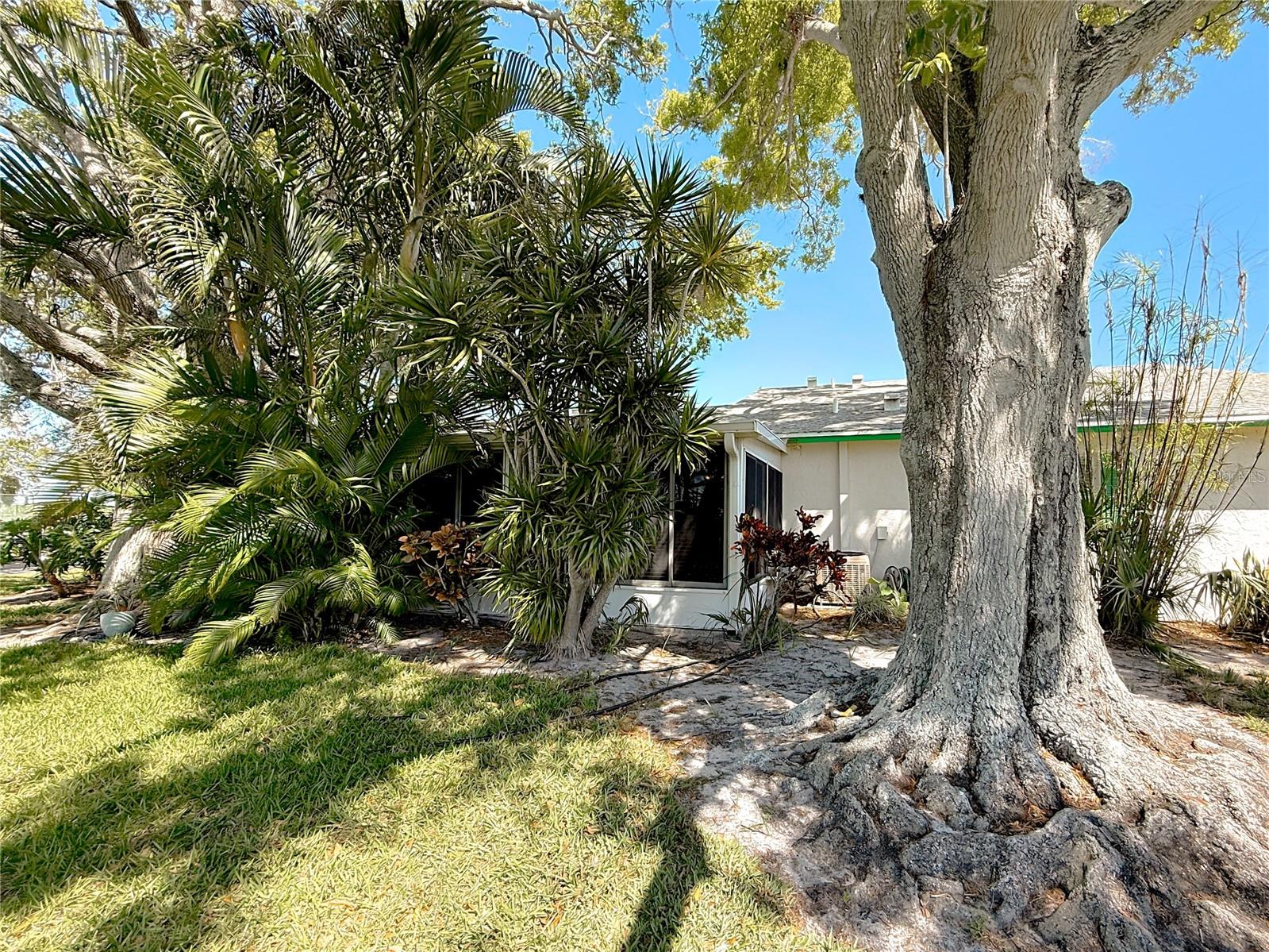 3203 40TH WAY S #B, ST PETERSBURG, FL, 33711