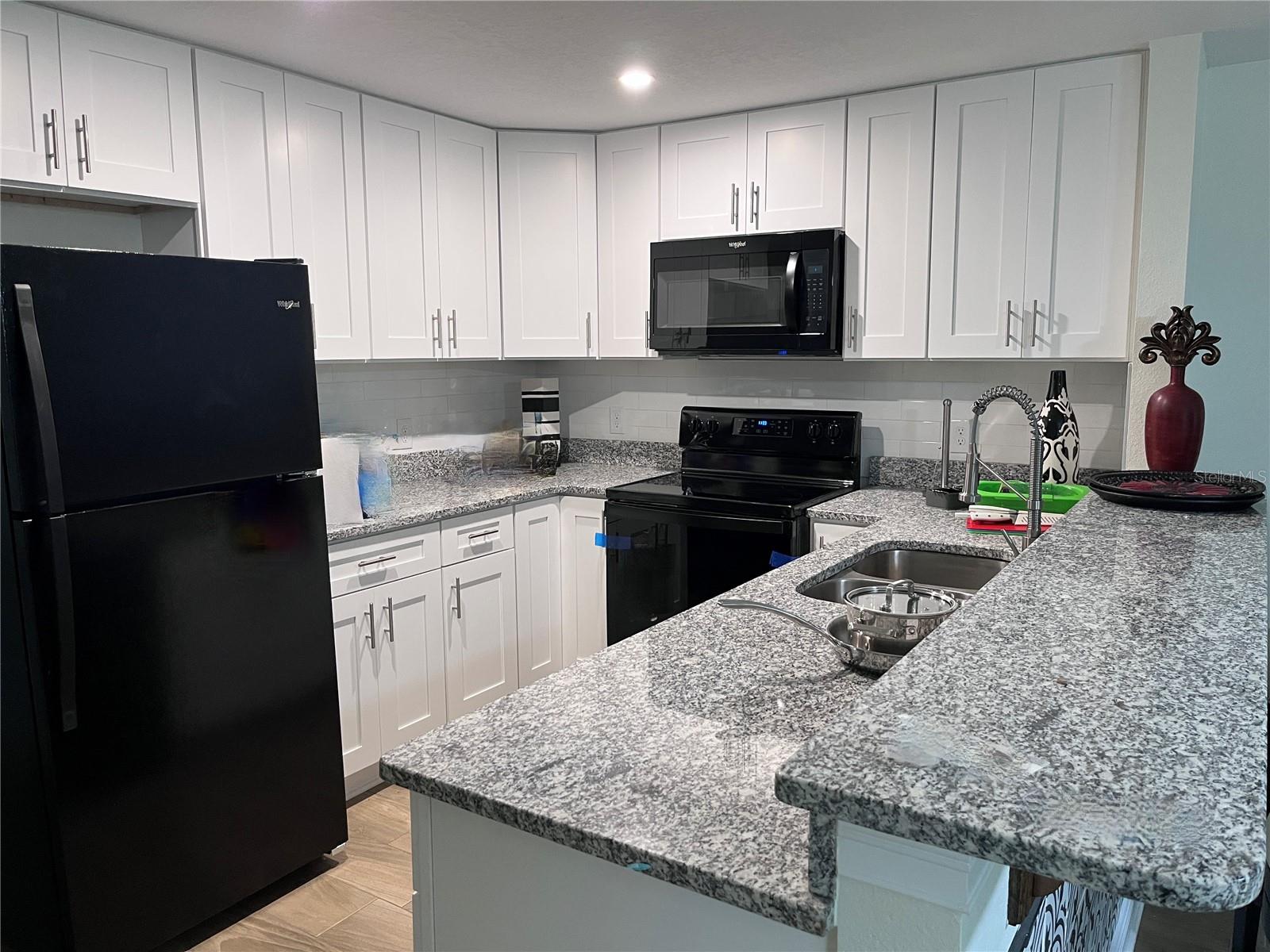 1147 E MCDONALD AVE #102-202, EUSTIS, FL, 32726