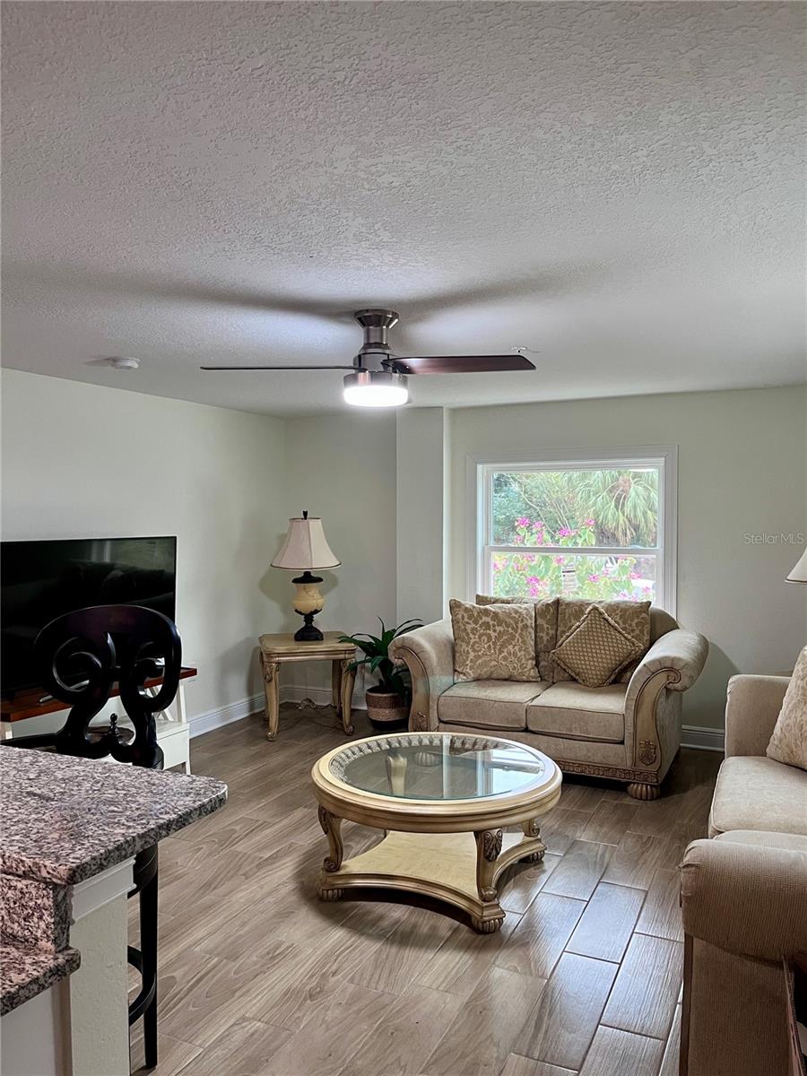 1147 E MCDONALD AVE #102-202, EUSTIS, FL, 32726
