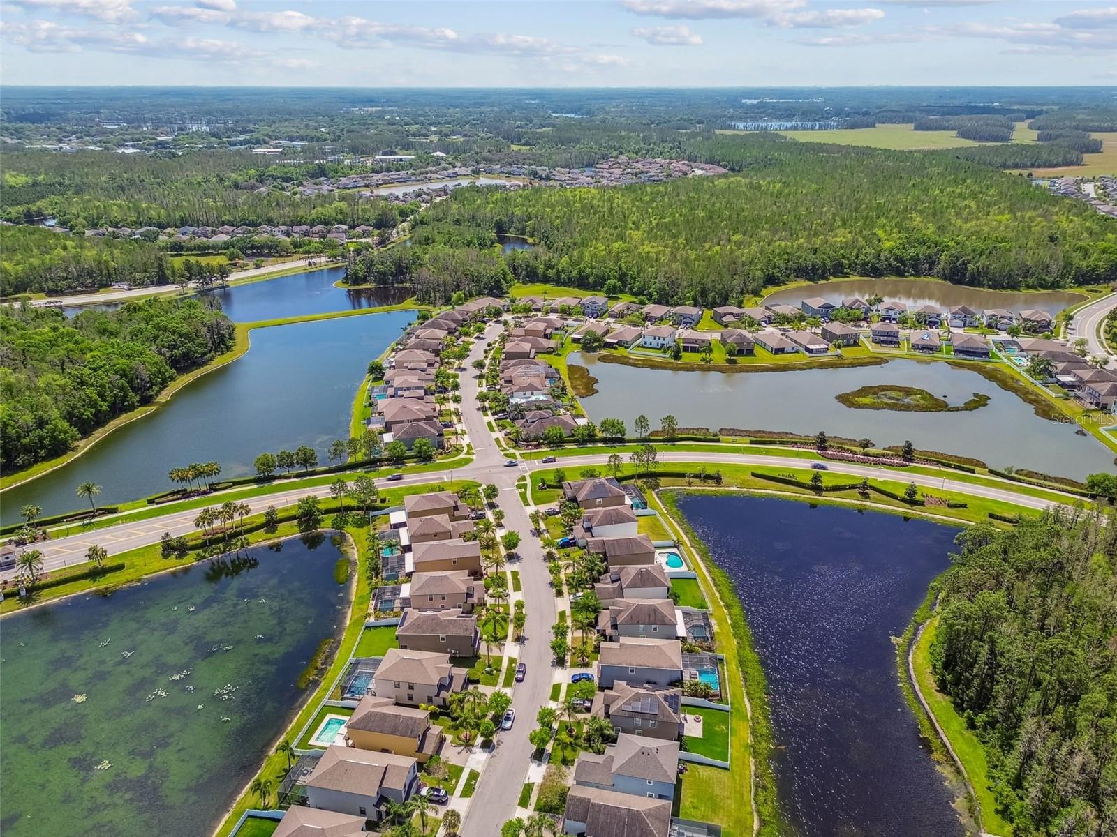 1755 HADDEN HALL PL, TRINITY, FL, 34655