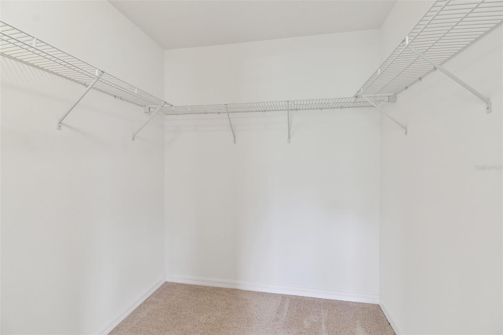 1755 HADDEN HALL PL, TRINITY, FL, 34655