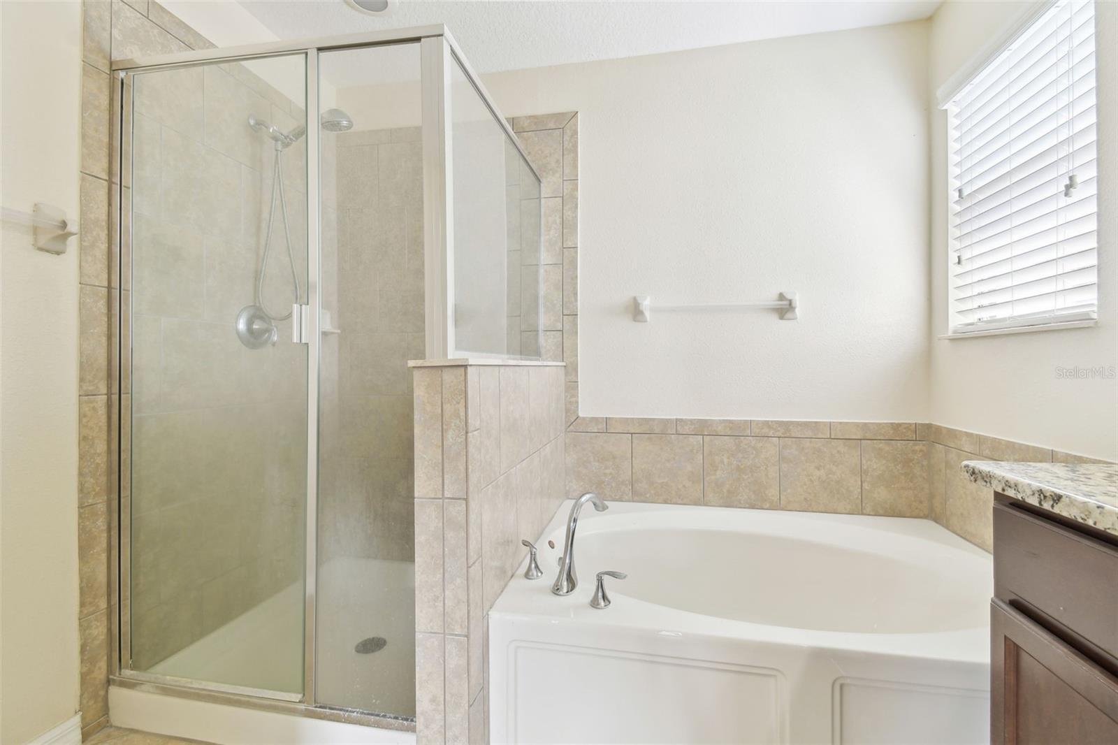 1755 HADDEN HALL PL, TRINITY, FL, 34655