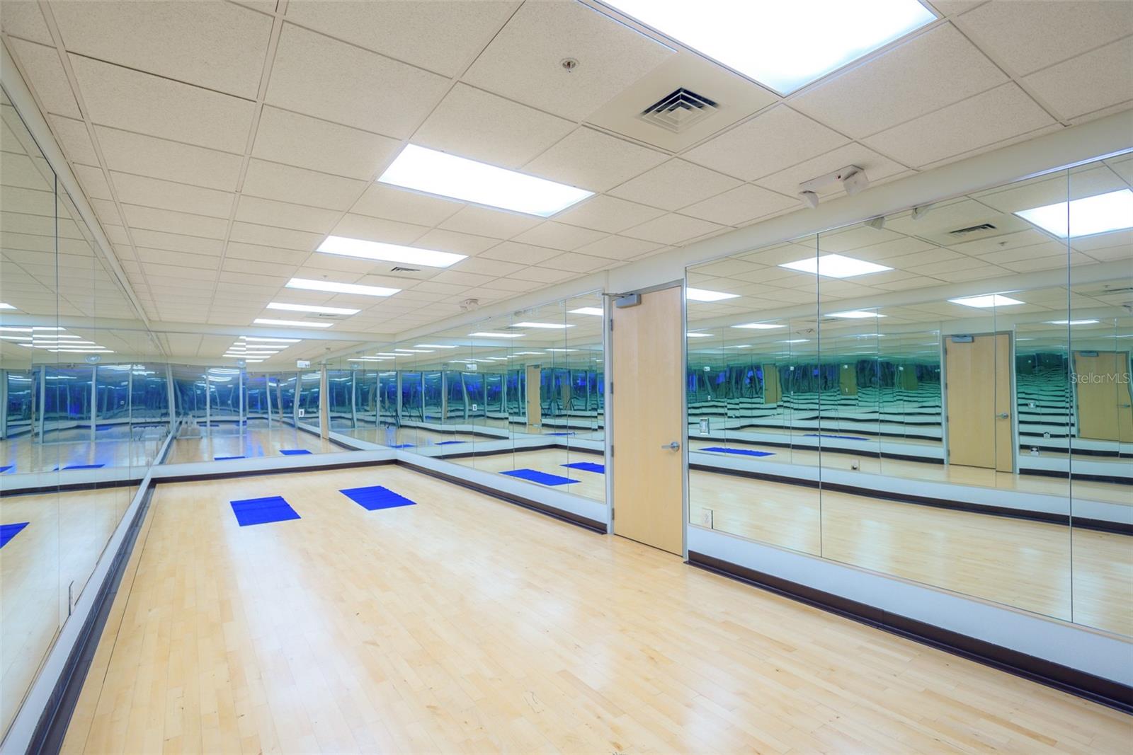 150 E ROBINSON ST #227, ORLANDO, FL, 32801