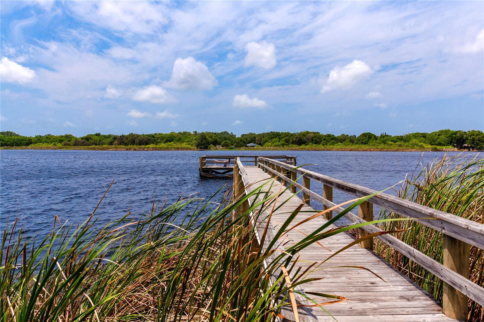 2229 AMERICUS BLVD W #25, CLEARWATER, FL, 33763