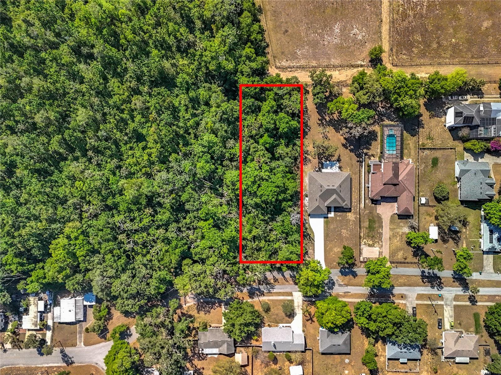 17235 3RD ST, MONTVERDE, FL, 34756