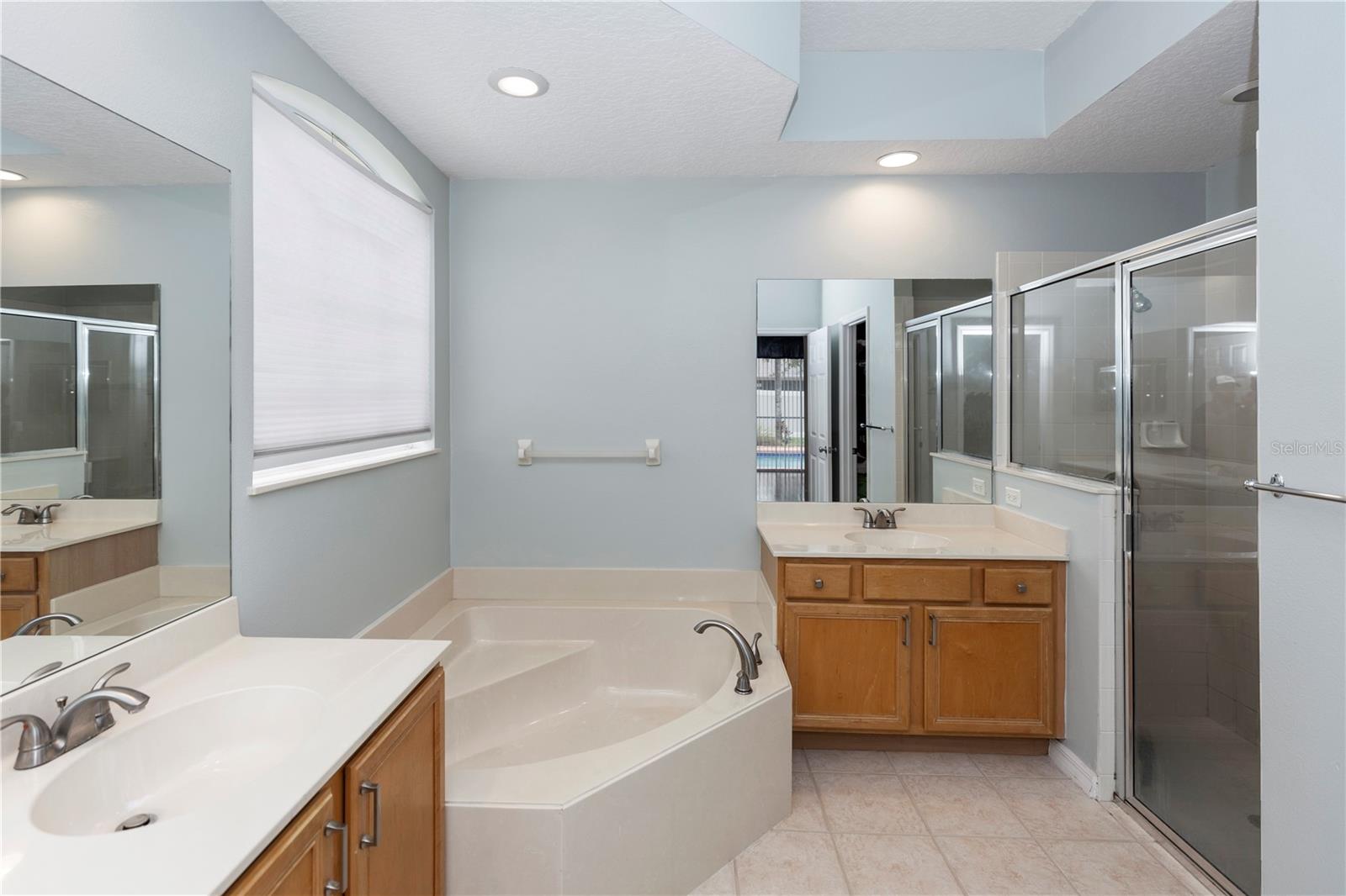 316 OAK SPRINGS DR, DEBARY, FL, 32713