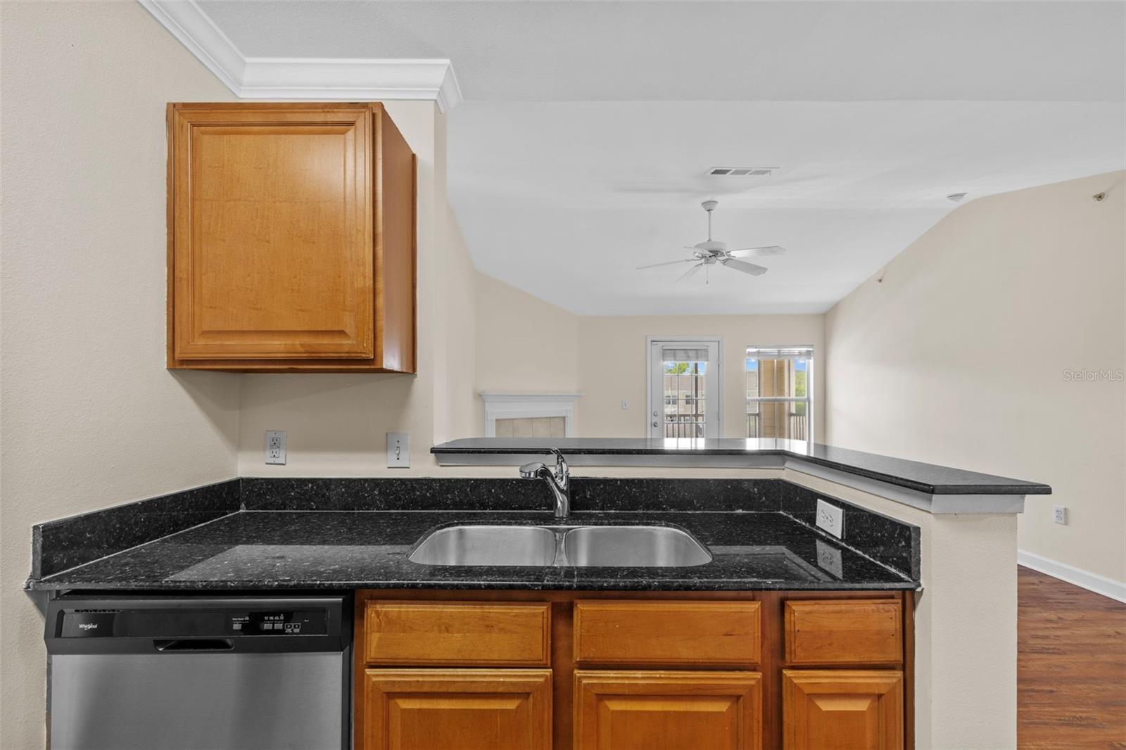 18341 BRIDLE CLUB DR #18341, TAMPA, FL, 33647