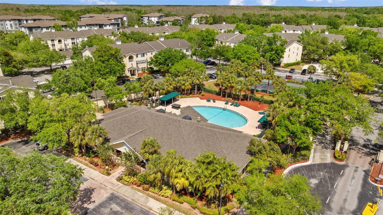 18341 BRIDLE CLUB DR #18341, TAMPA, FL, 33647