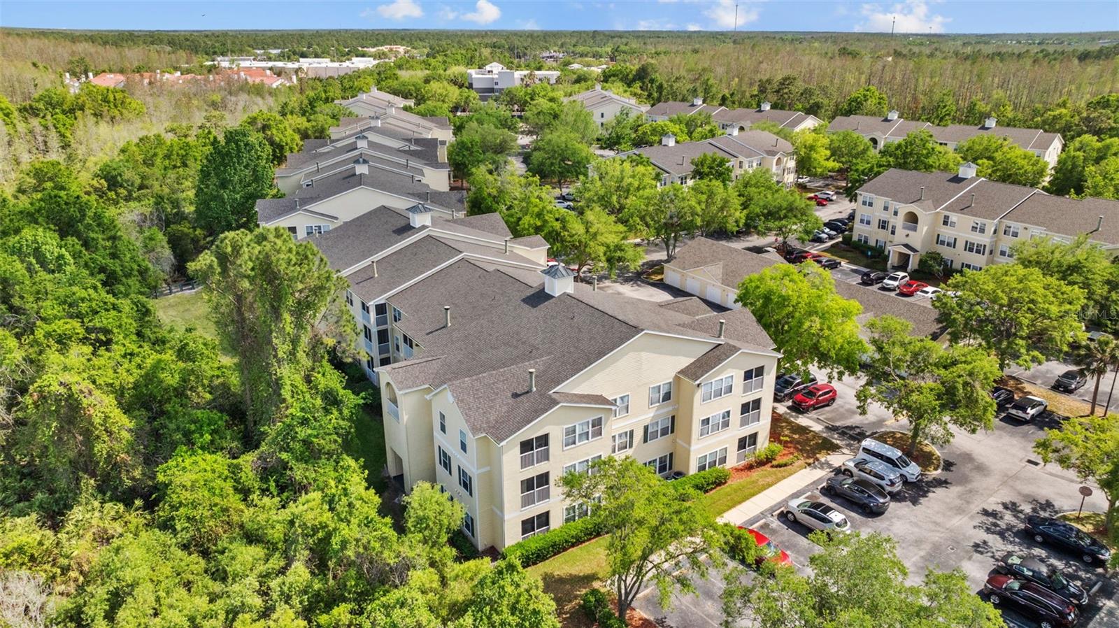 18341 BRIDLE CLUB DR #18341, TAMPA, FL, 33647