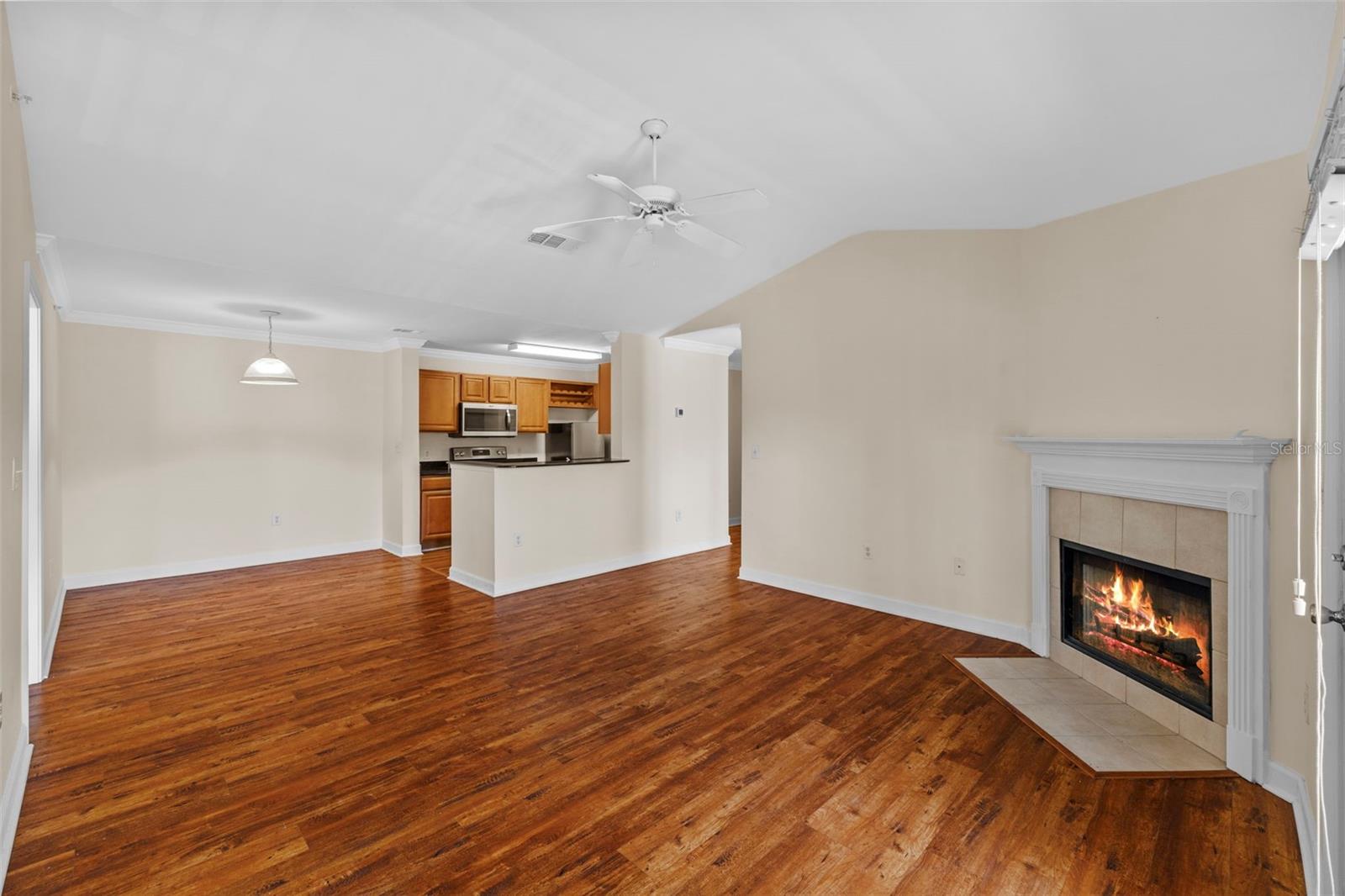 18341 BRIDLE CLUB DR #18341, TAMPA, FL, 33647