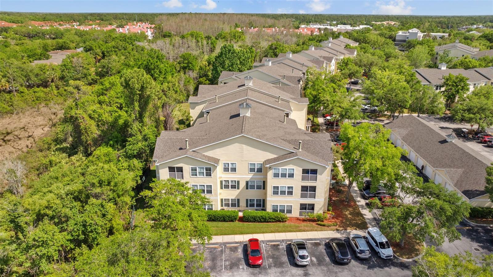 18341 BRIDLE CLUB DR #18341, TAMPA, FL, 33647