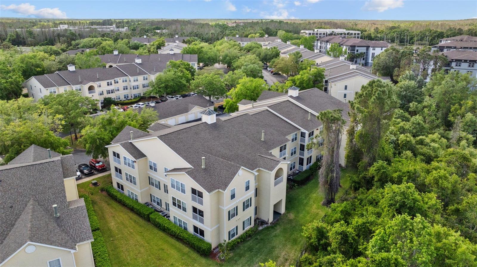 18341 BRIDLE CLUB DR #18341, TAMPA, FL, 33647