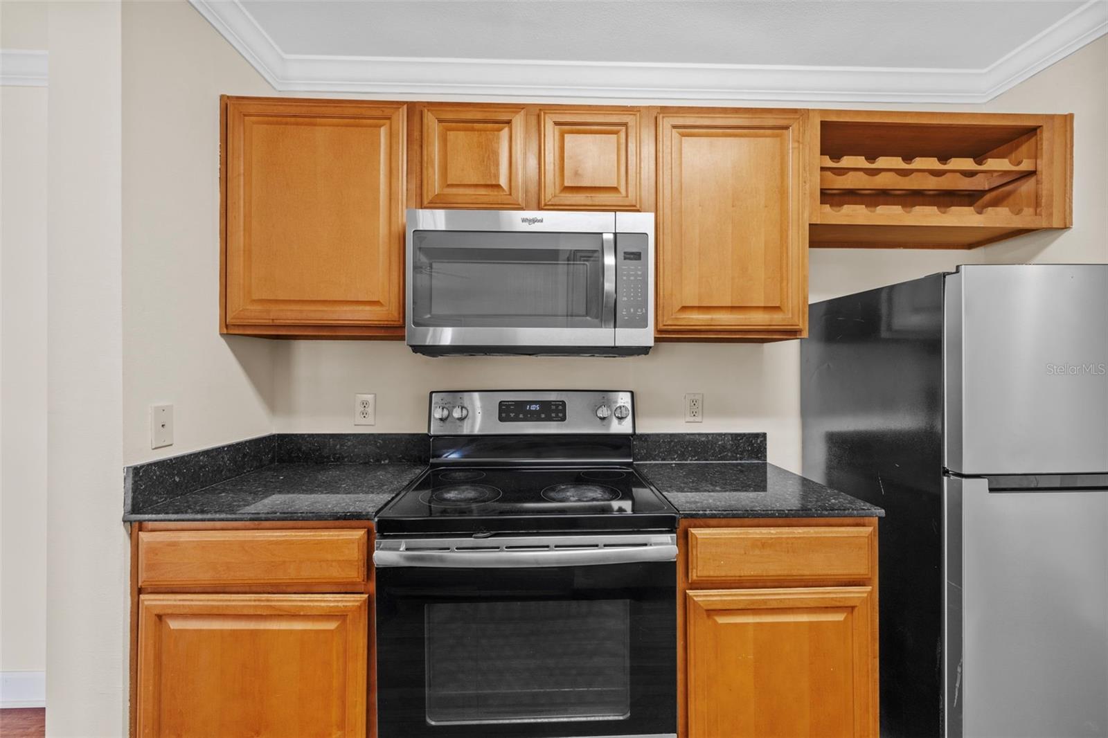 18341 BRIDLE CLUB DR #18341, TAMPA, FL, 33647