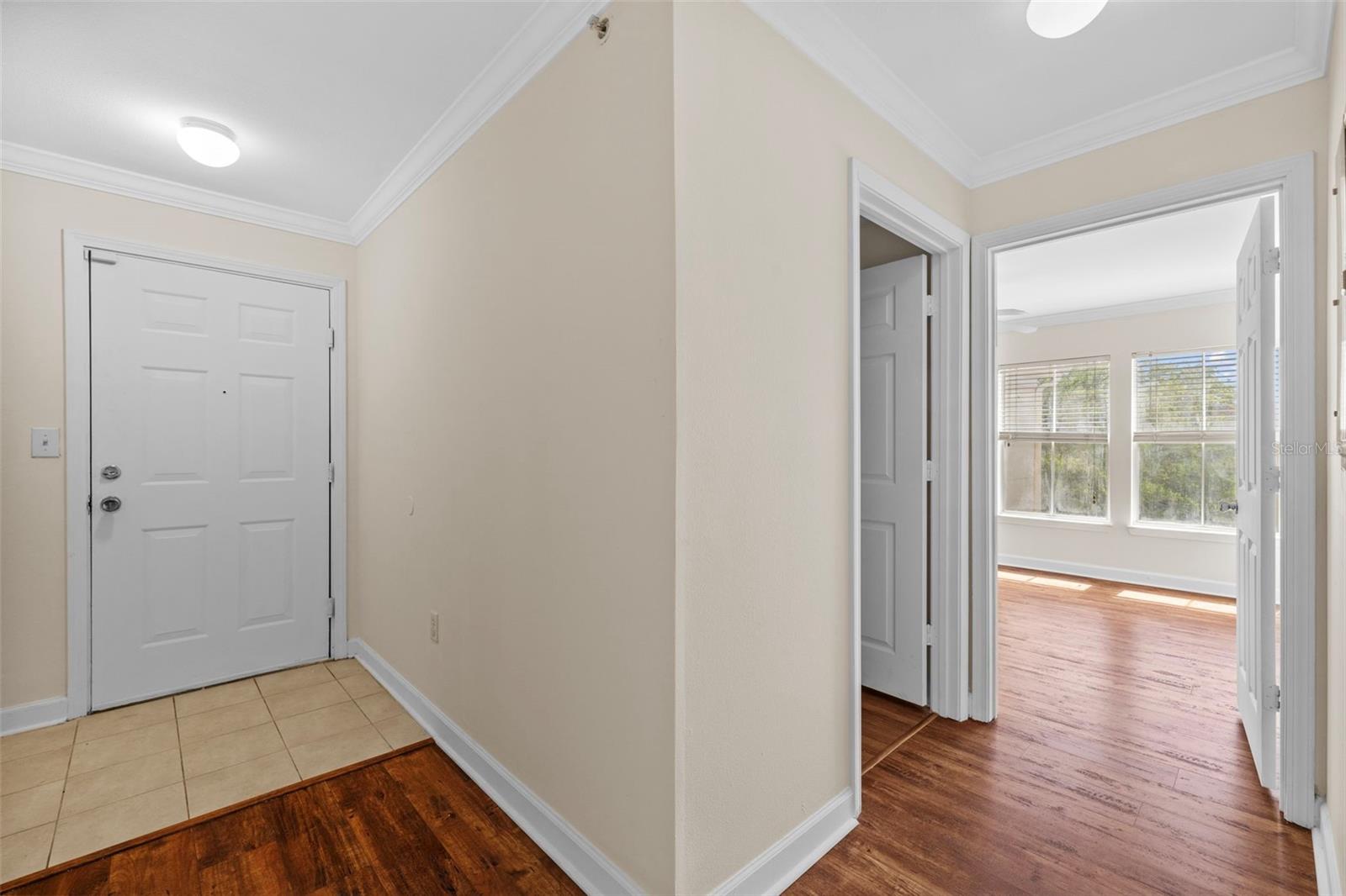 18341 BRIDLE CLUB DR #18341, TAMPA, FL, 33647