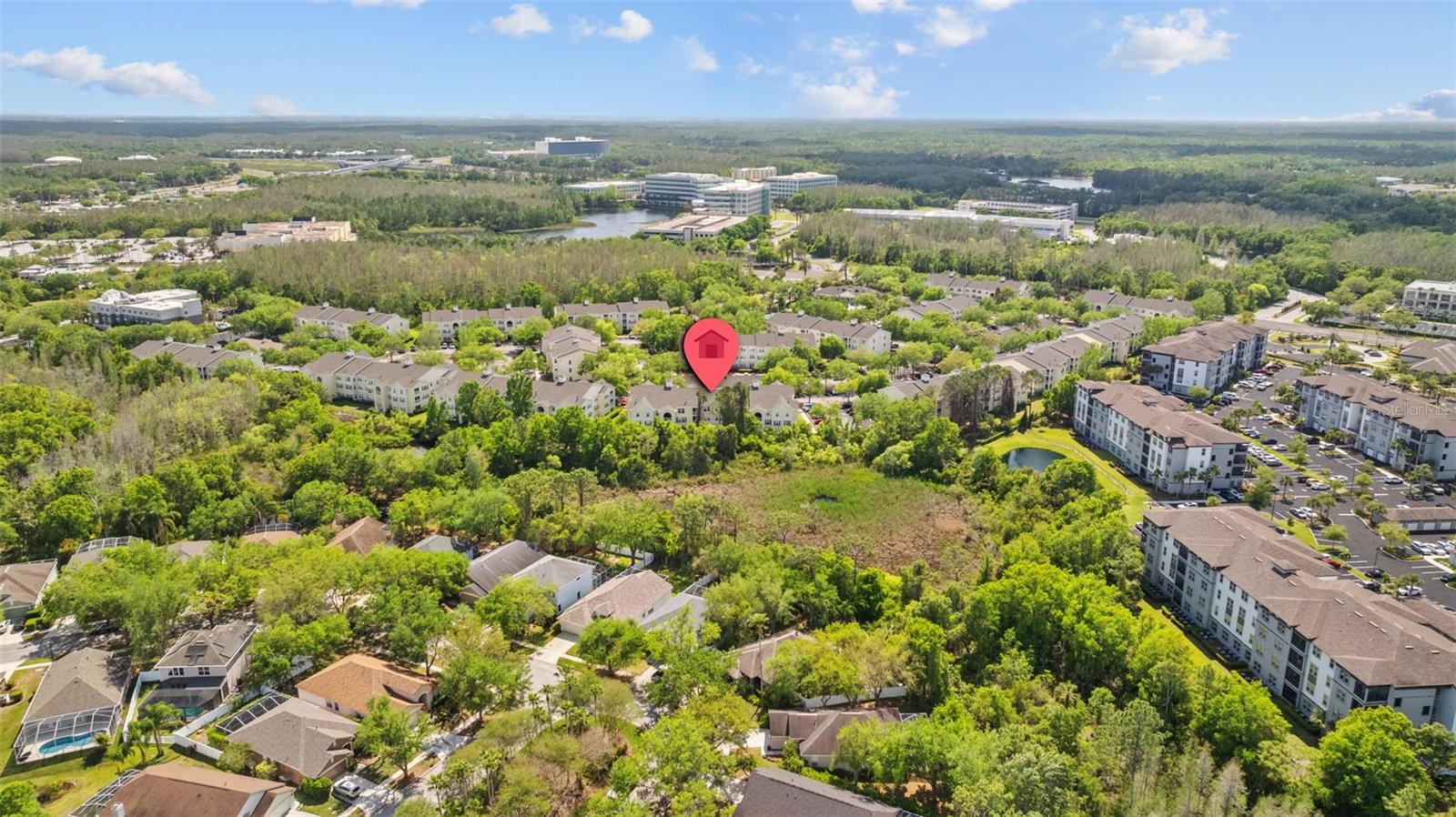 18341 BRIDLE CLUB DR #18341, TAMPA, FL, 33647