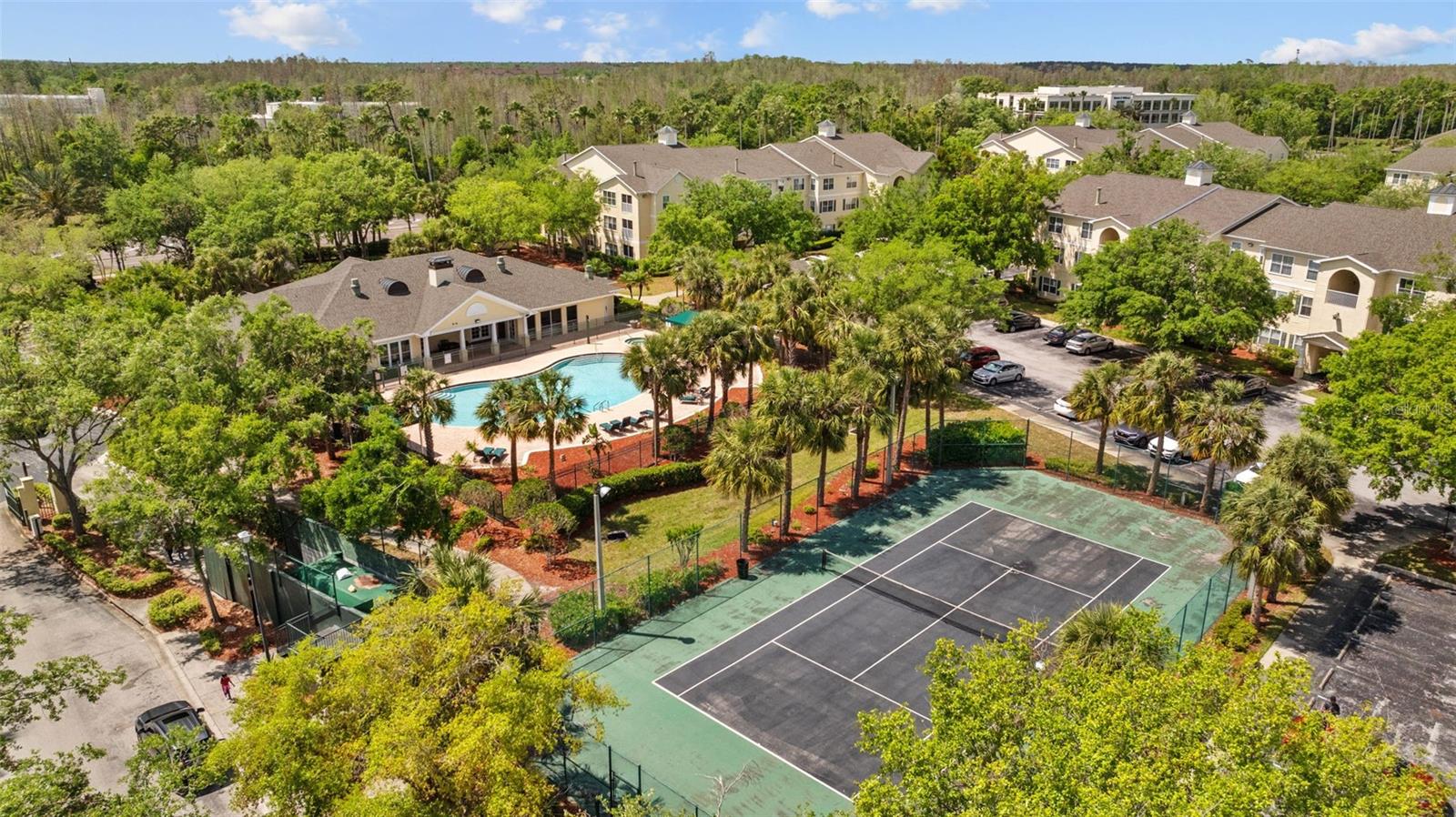 18341 BRIDLE CLUB DR #18341, TAMPA, FL, 33647