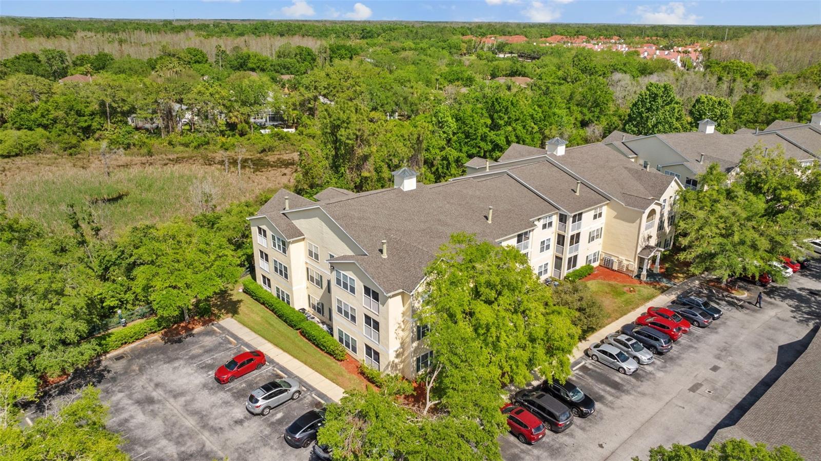 18341 BRIDLE CLUB DR #18341, TAMPA, FL, 33647