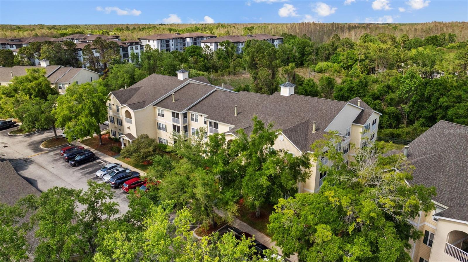 18341 BRIDLE CLUB DR #18341, TAMPA, FL, 33647