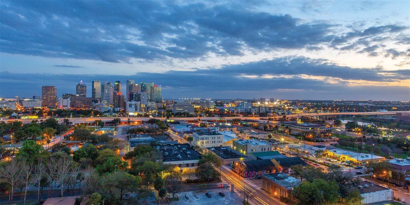 406 W AMELIA AVE #101, TAMPA, FL, 33602