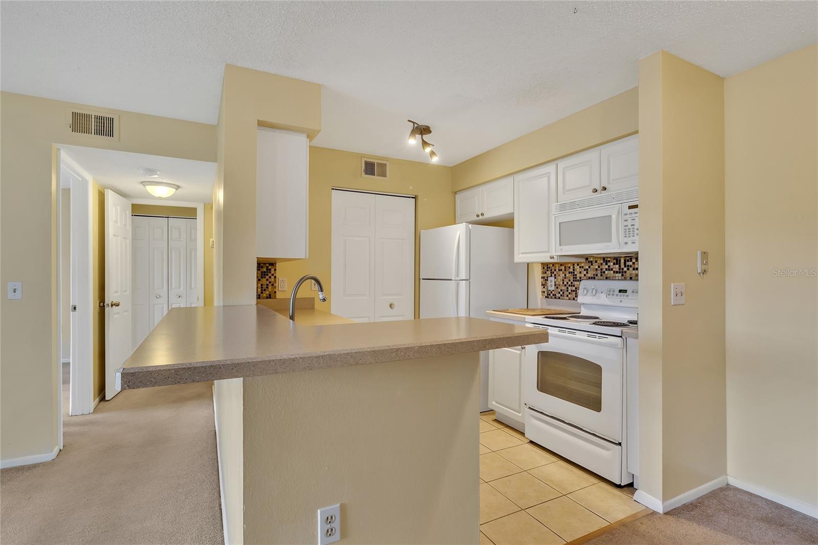 1229 BERMUDA LAKES LN #207, KISSIMMEE, FL, 34741