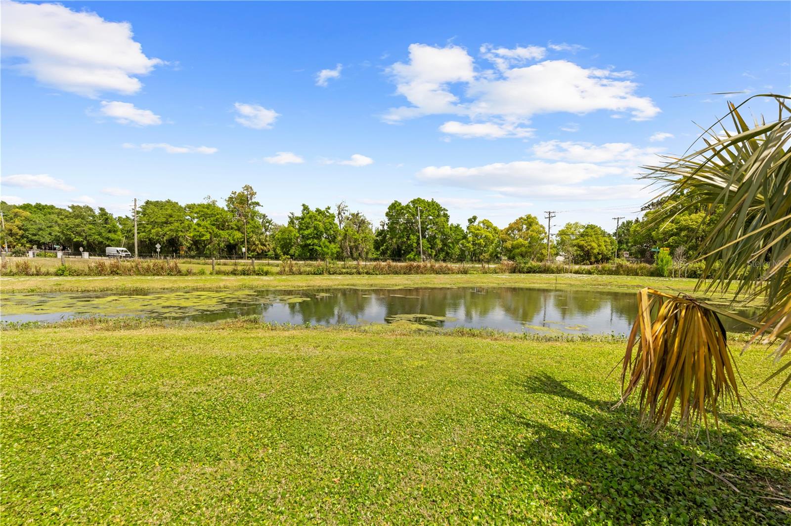 3601 HAPPY LIFE LN, DOVER, FL, 33527