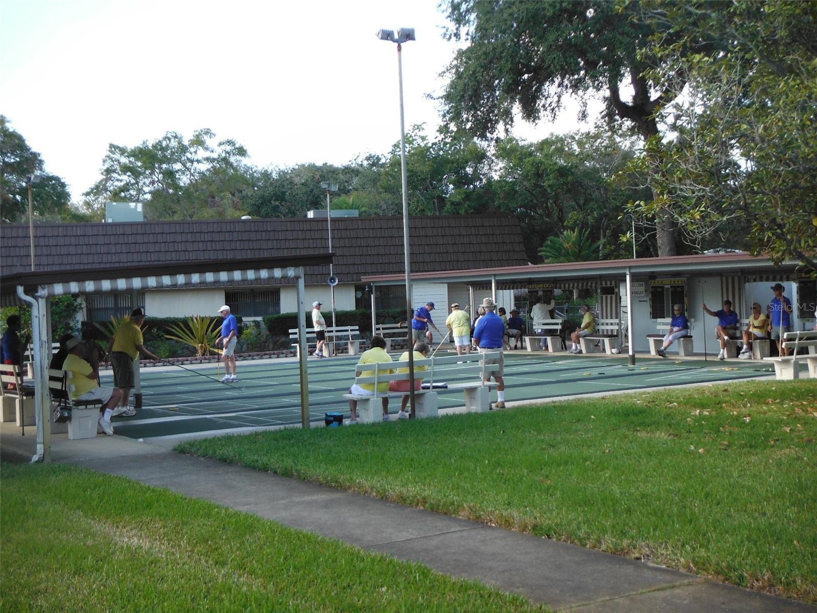 42 NEW FAWN CT #31, SAFETY HARBOR, FL, 34695