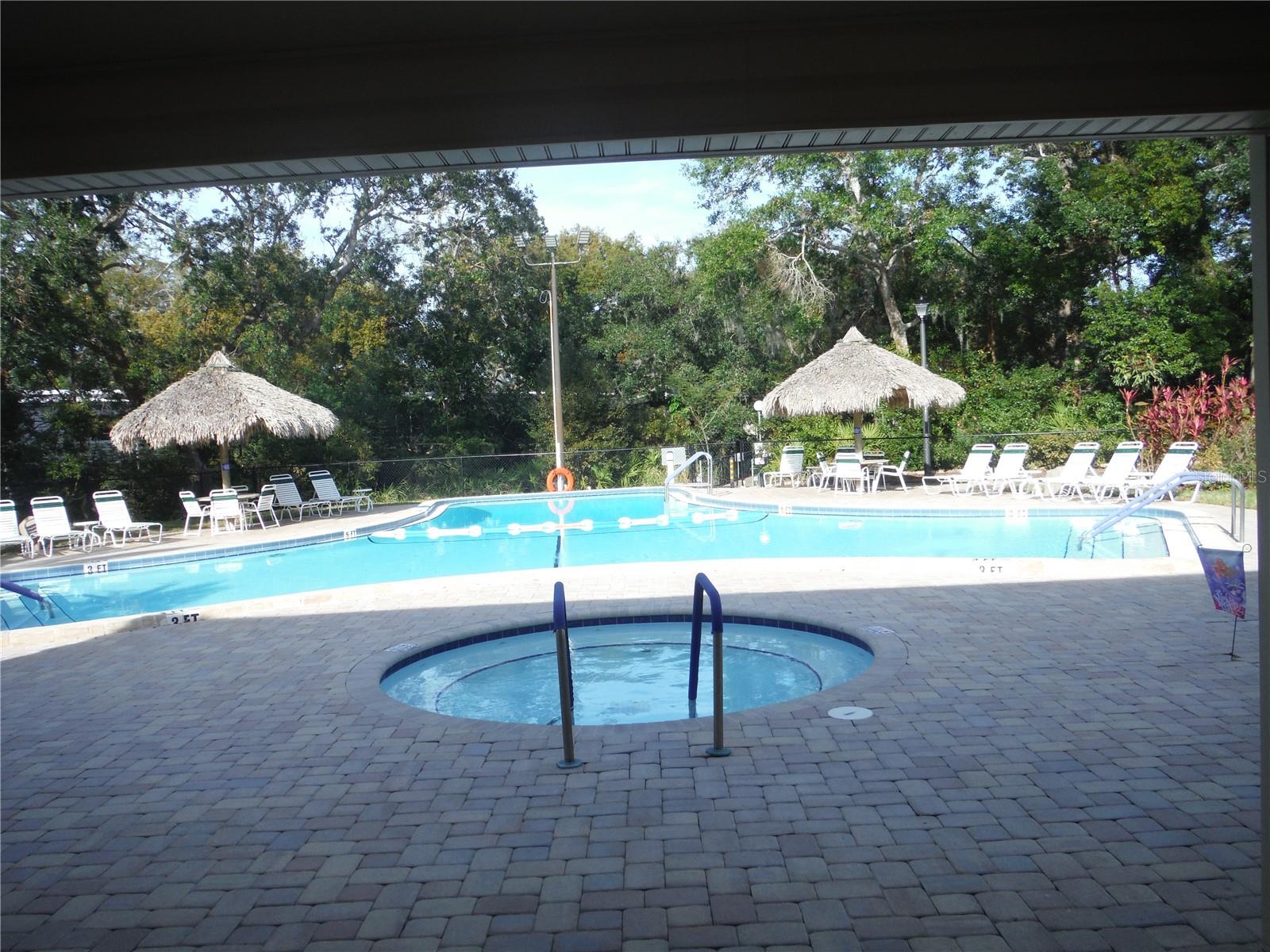 42 NEW FAWN CT #31, SAFETY HARBOR, FL, 34695