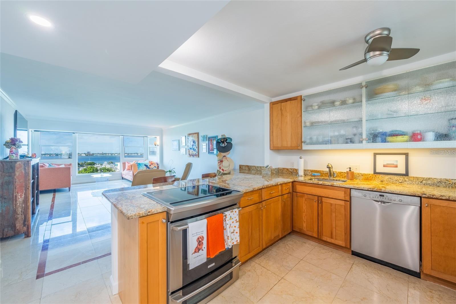 33 S GULFSTREAM AVE #1007, SARASOTA, FL, 34236