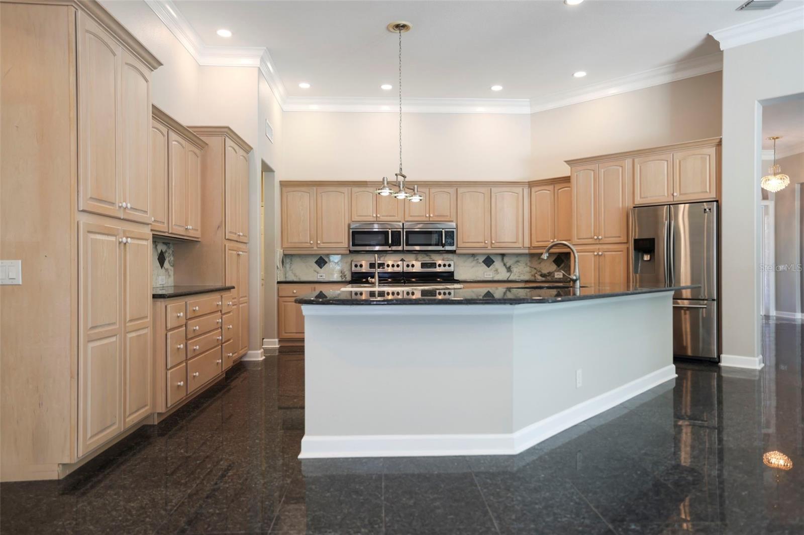 3045 DOMINION CT, SAFETY HARBOR, FL, 34695