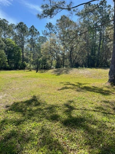 4535 CALVIN ST, HASTINGS, FL, 32145