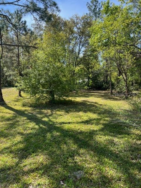 4535 CALVIN ST, HASTINGS, FL, 32145