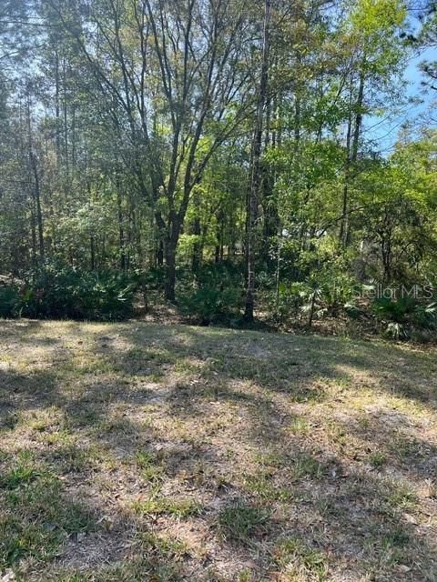 4535 CALVIN ST, HASTINGS, FL, 32145