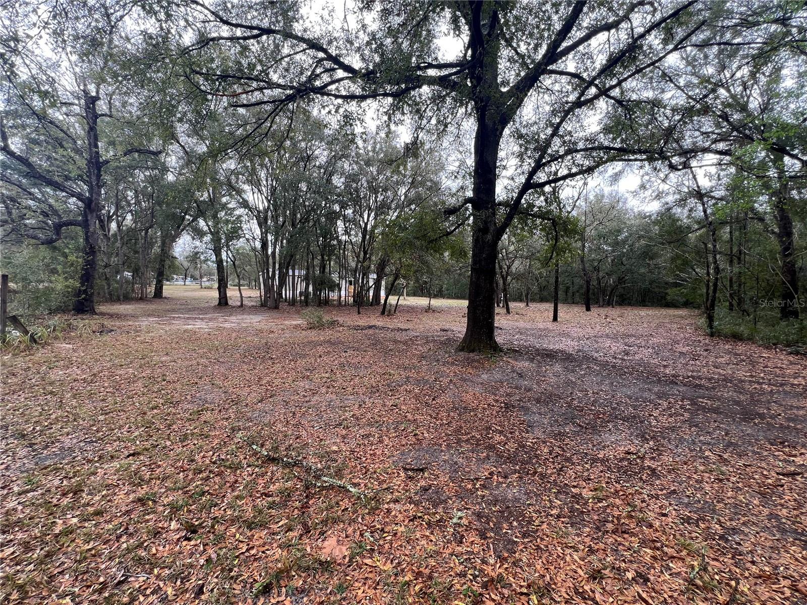 1184 E SANDY LN, HERNANDO, FL, 34442