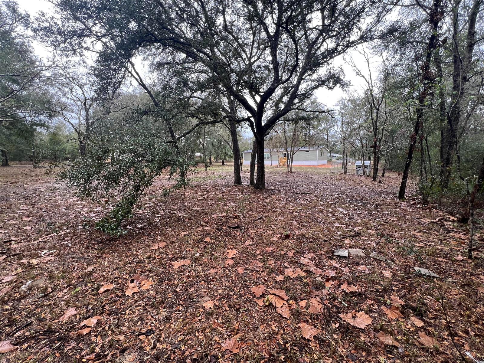 1184 E SANDY LN, HERNANDO, FL, 34442