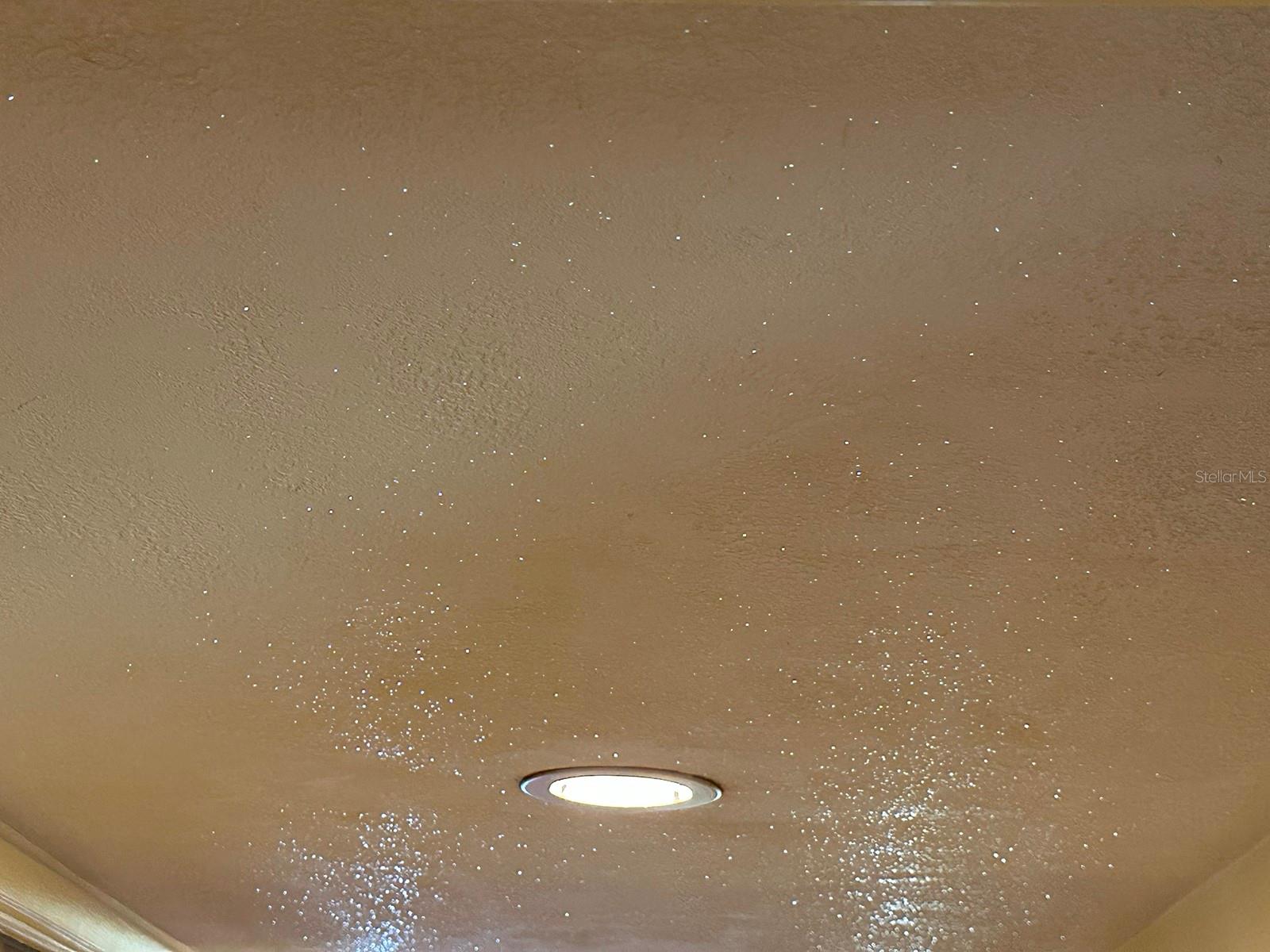 500 OLEANDER WAY S, ST PETERSBURG, FL, 33707