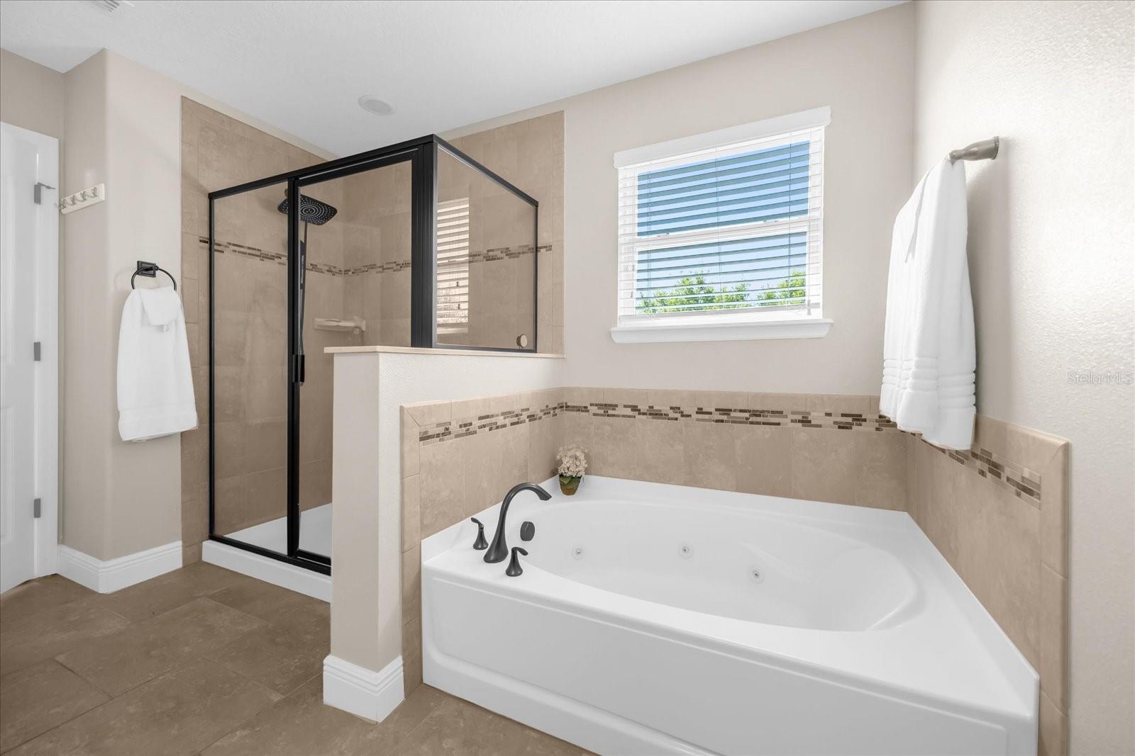 8125 ATLANTIC PUFFIN ST, WINTER GARDEN, FL, 34787