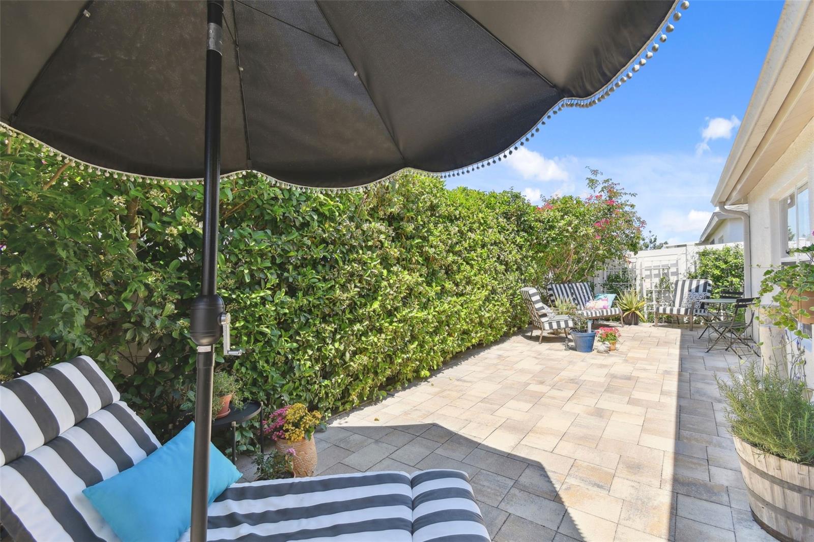 1743 RAVENRIDGE ST, WESLEY CHAPEL, FL, 33543