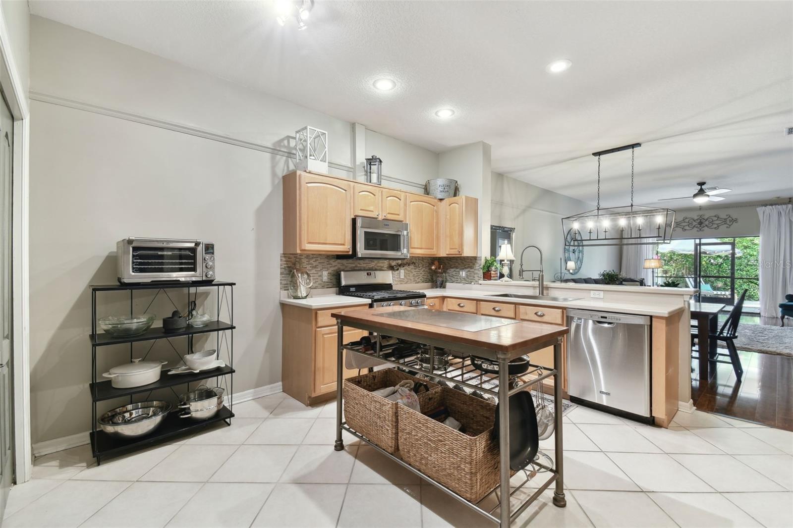 1743 RAVENRIDGE ST, WESLEY CHAPEL, FL, 33543