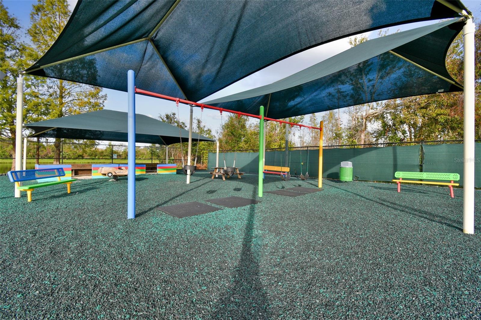 1743 RAVENRIDGE ST, WESLEY CHAPEL, FL, 33543