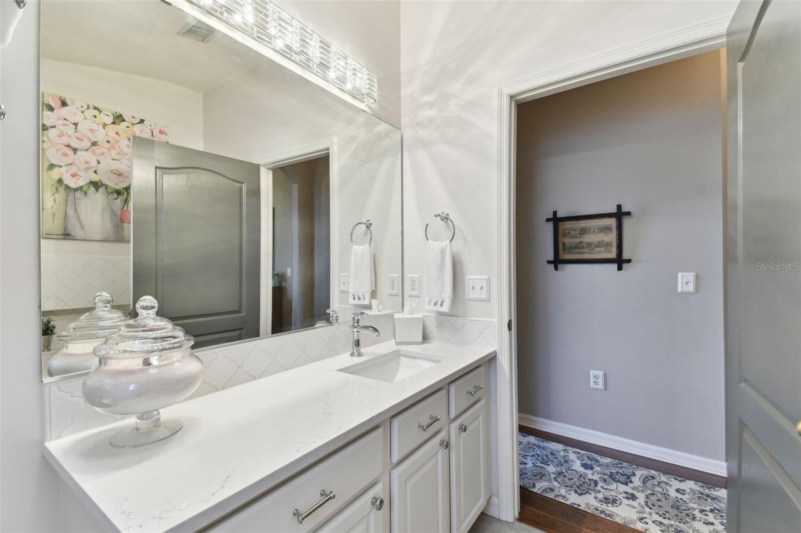 1743 RAVENRIDGE ST, WESLEY CHAPEL, FL, 33543