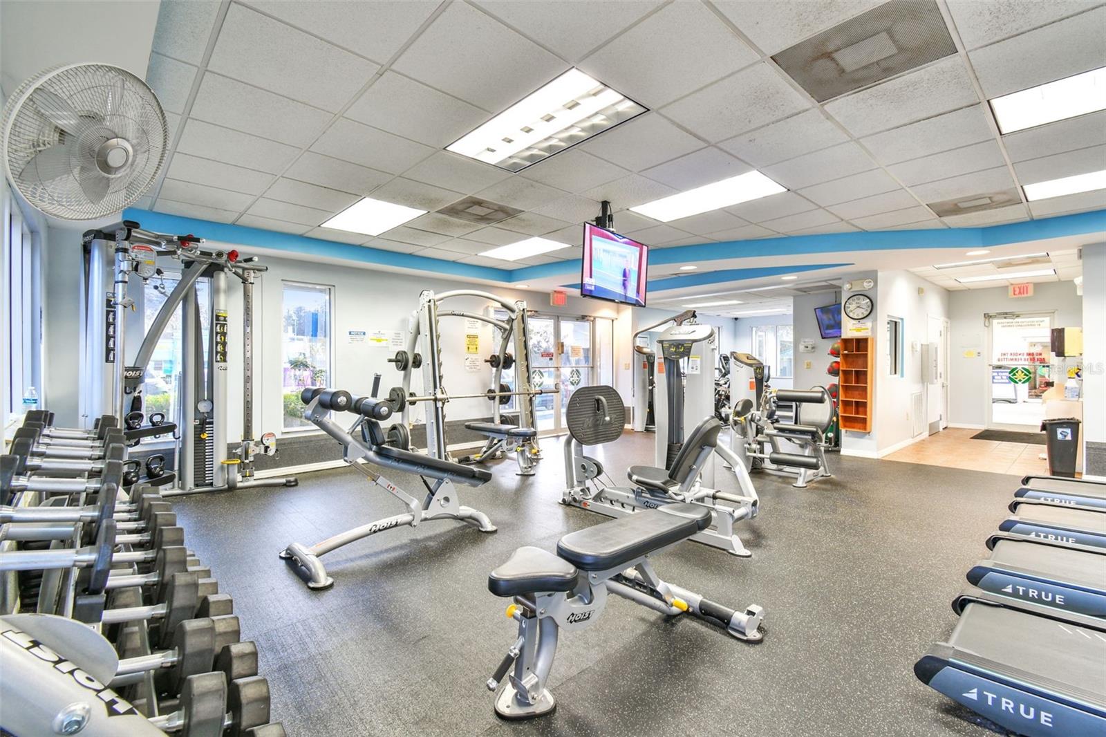 1743 RAVENRIDGE ST, WESLEY CHAPEL, FL, 33543